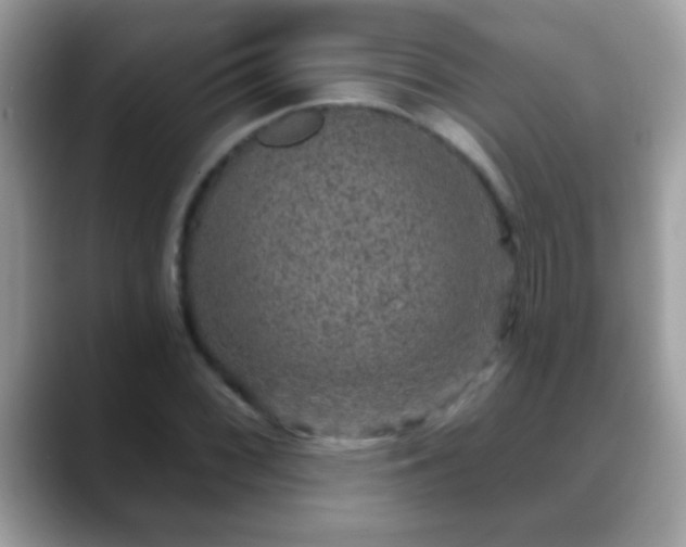 X0000088631068200706011140