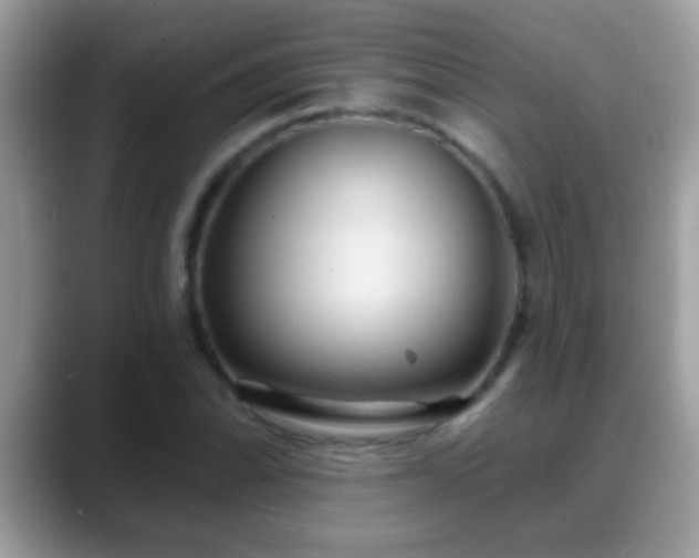 X0000088631070200706011140