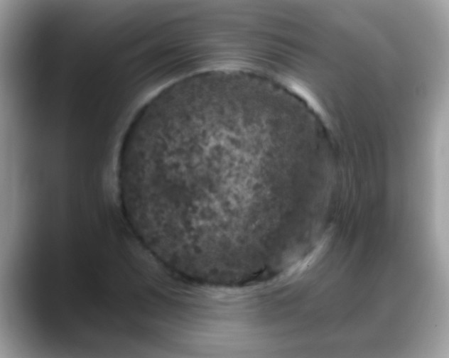 X0000088631071200706011140