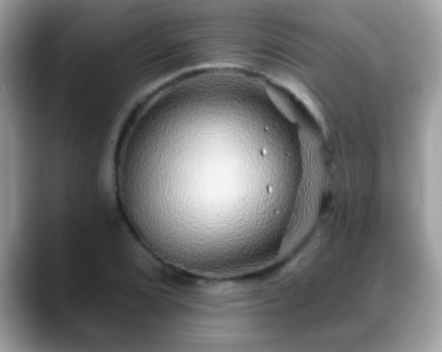 X0000088631072200706011140