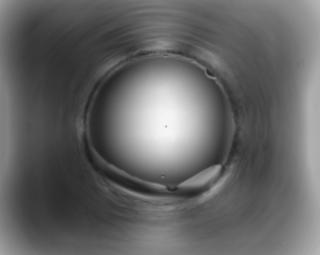 X0000088631073200706011140