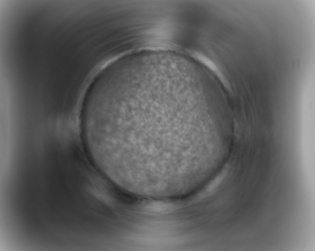 X0000088631074200706011140