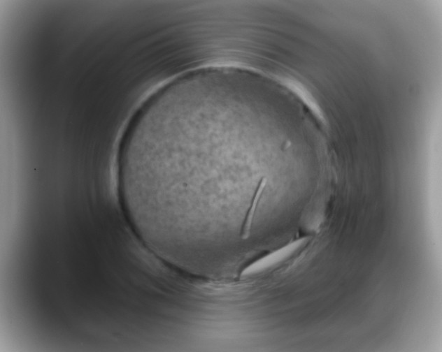 X0000088631076200706011140