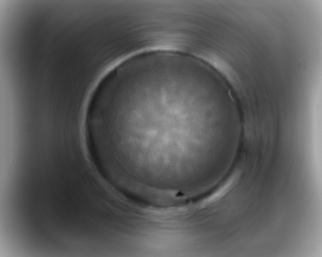 X0000088631077200706011140