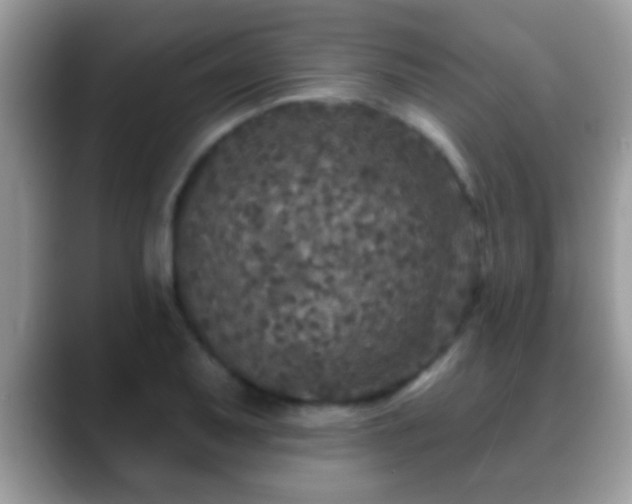 X0000088631079200706011140