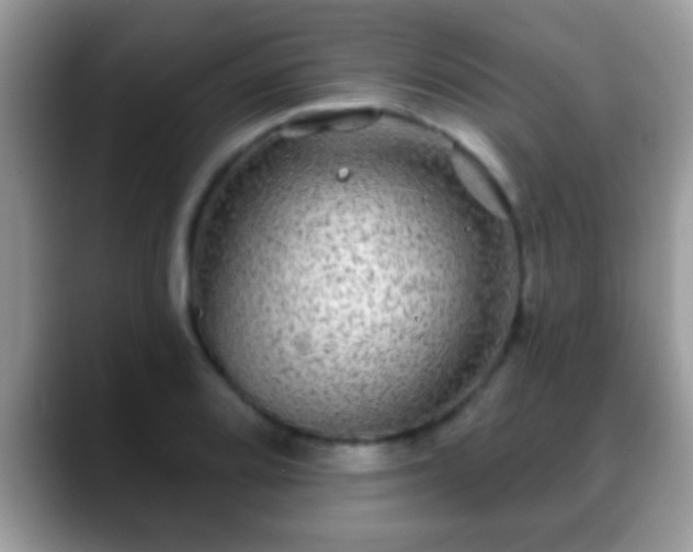 X0000088631080200706011140