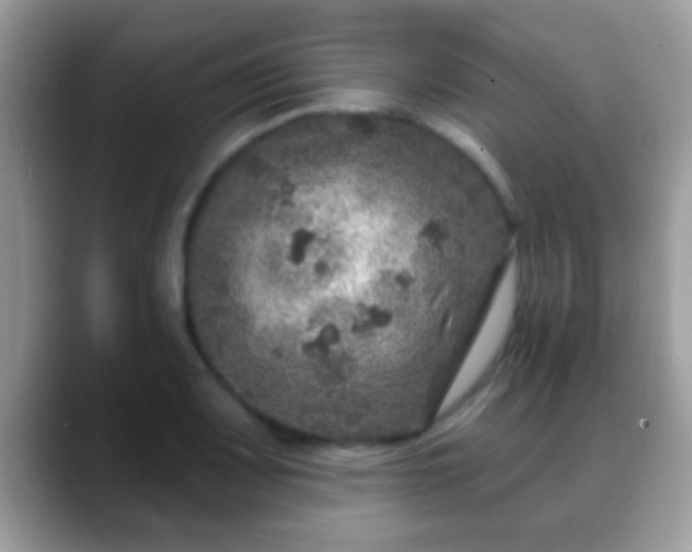 X0000088631083200706011140