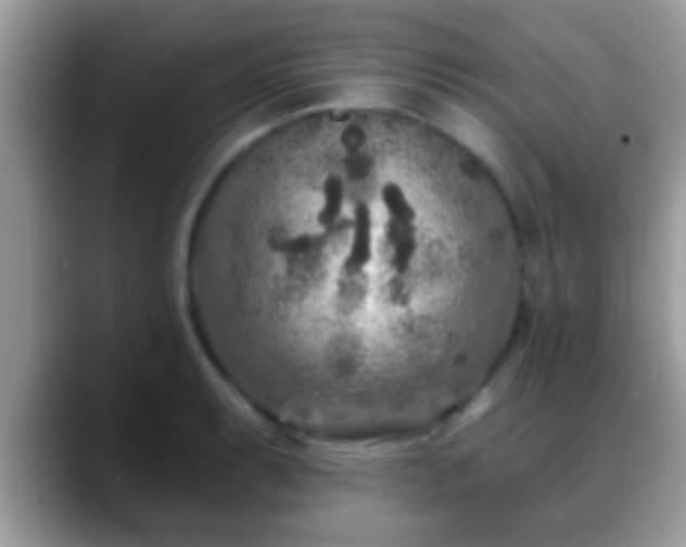 X0000088631087200706011140