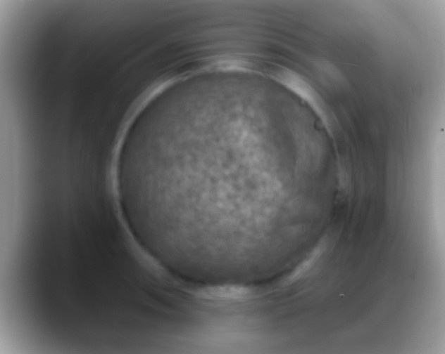 X0000088631090200706011140