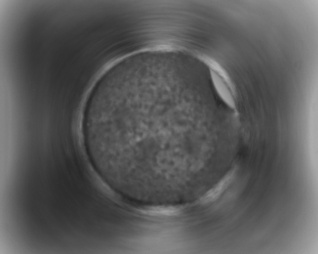 X0000088631091200706011140