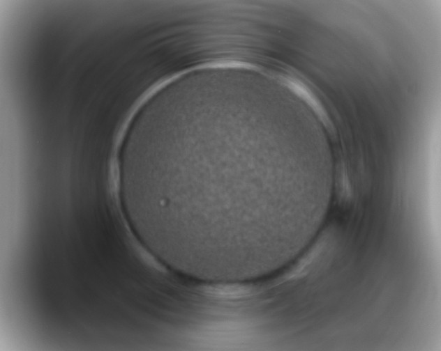 X0000088631092200706011140