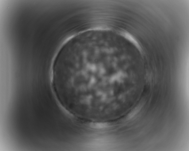 X0000088631095200706011140