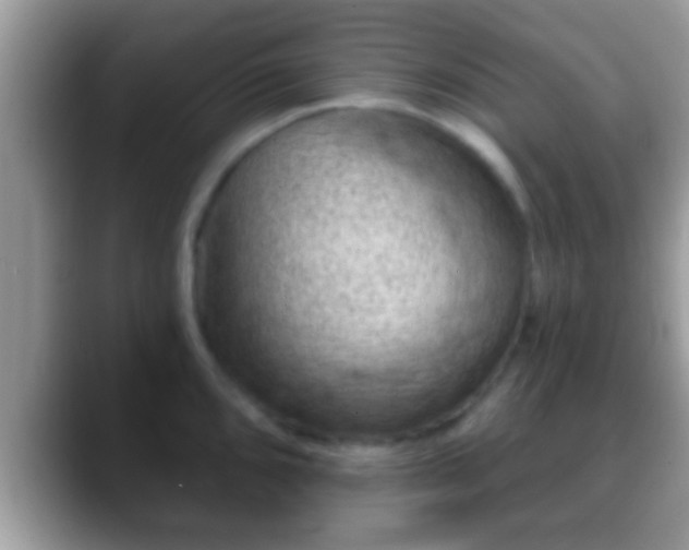 X0000088631096200706011140