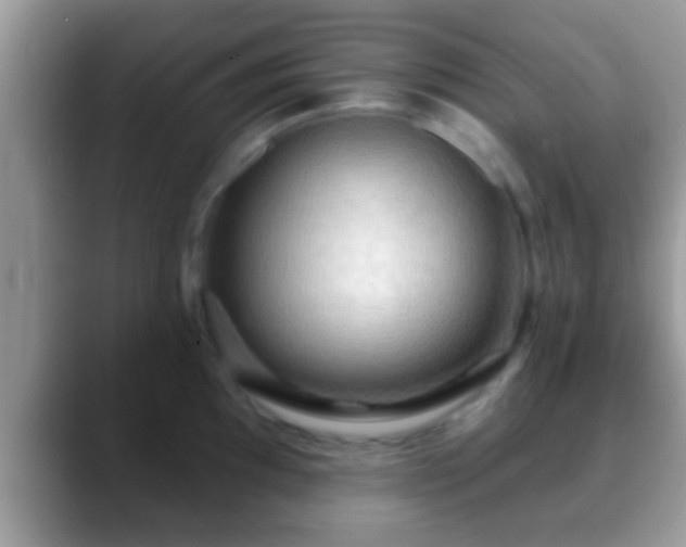 X0000088631097200706011140