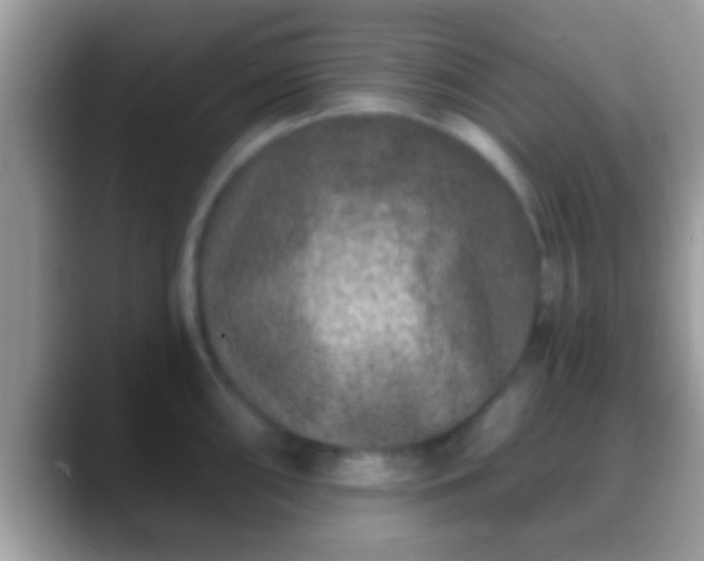 X0000088631098200706011140