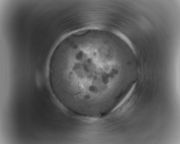 X0000088631099200706011140