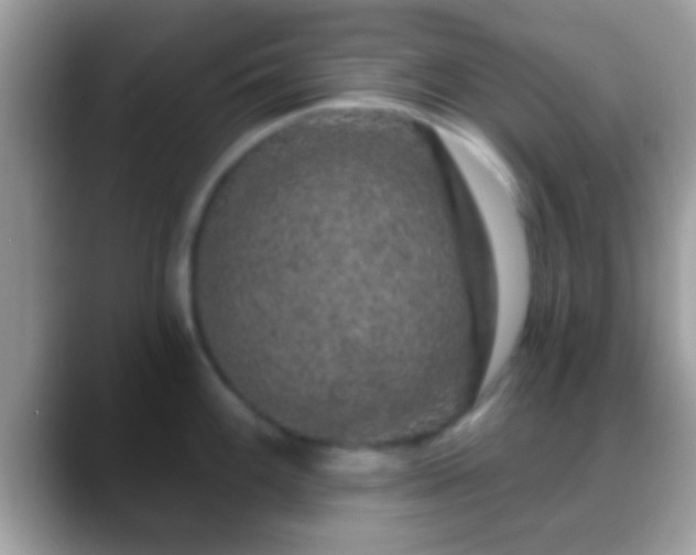 X0000088631100200706011140