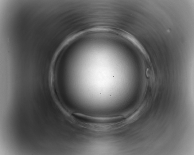 X0000088631101200706011140