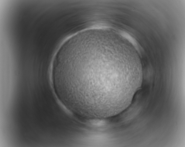 X0000088631103200706011140