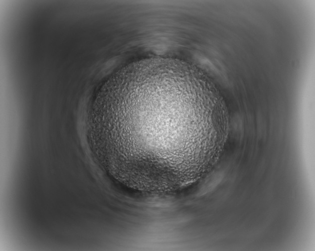 X0000088631105200706011139