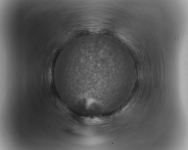 X0000088631106200706011139