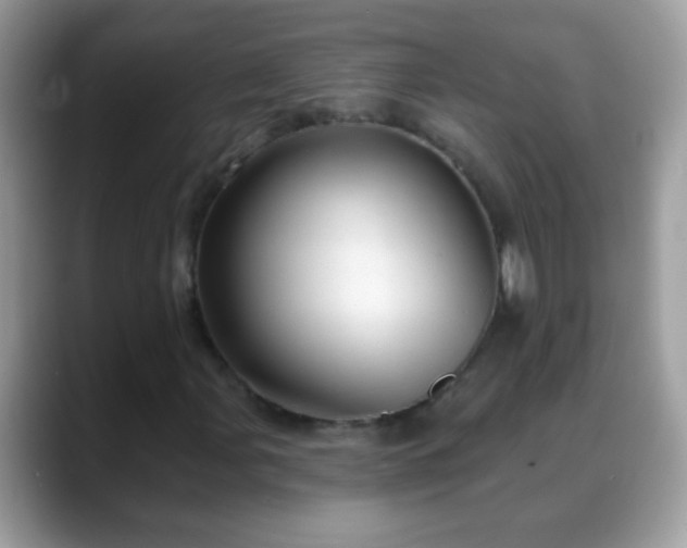 X0000088631107200706011139