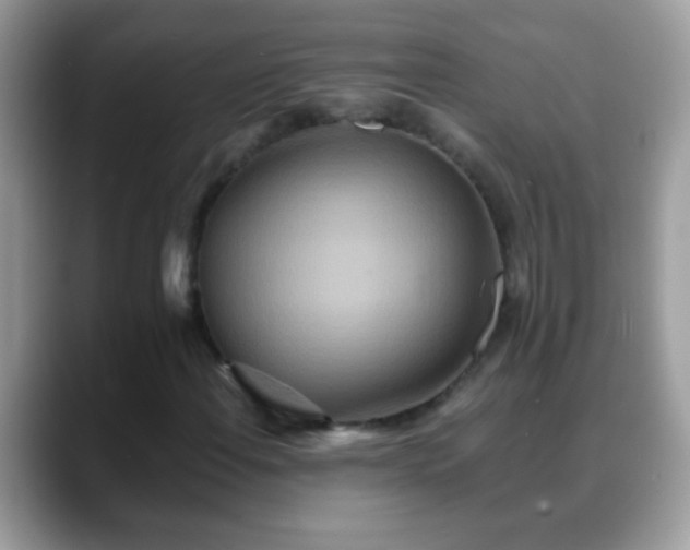 X0000088631108200706011139