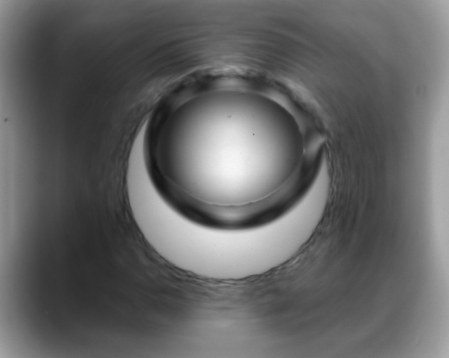 X0000088631110200706011139