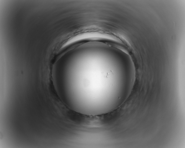 X0000088631111200706011139