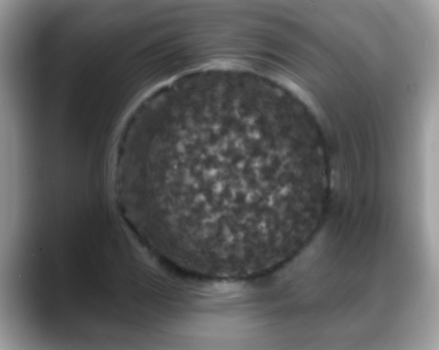 X0000088631117200706011140