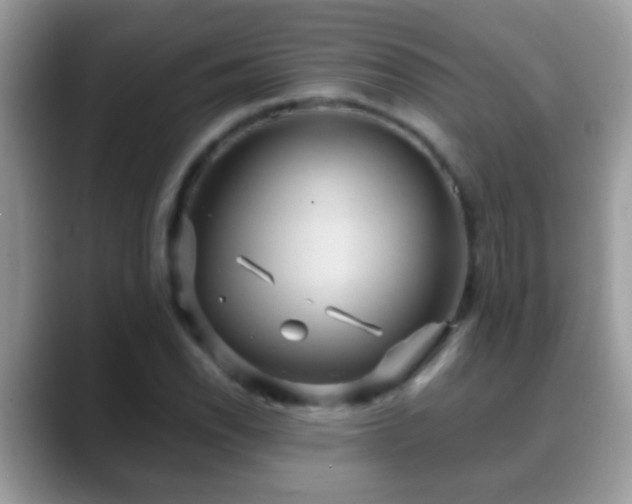 X0000088631118200706011140