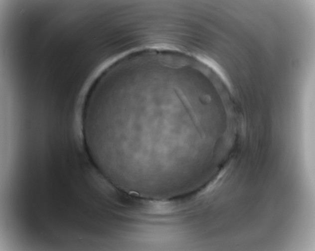 X0000088631120200706011140