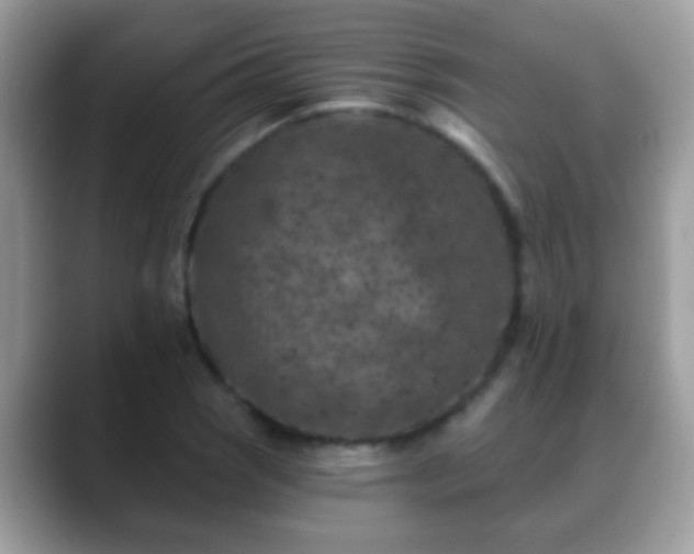 X0000088631121200706011140