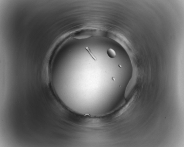 X0000088631123200706011140