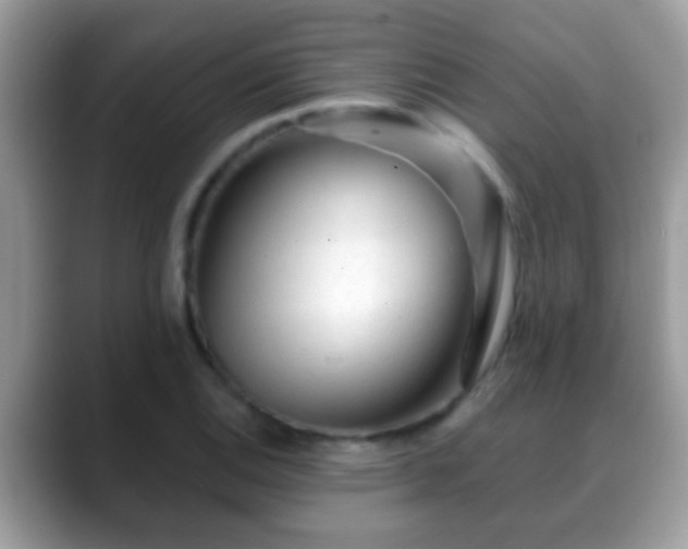 X0000088631124200706011140