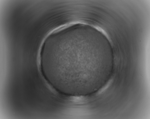 X0000088631125200706011140