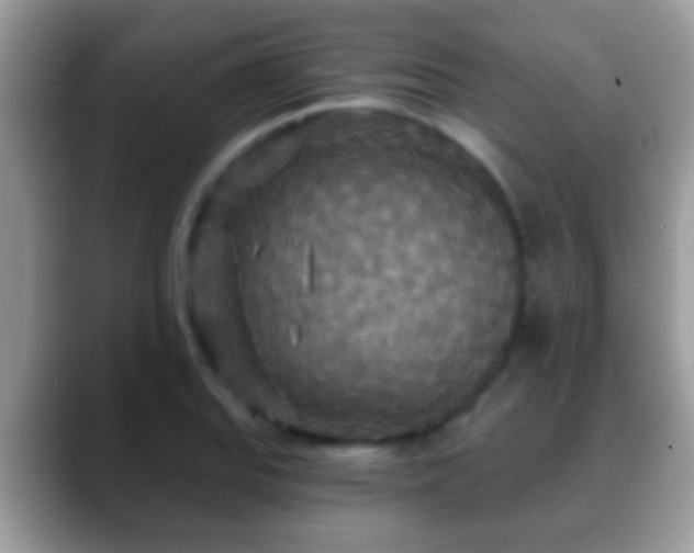 X0000088631127200706011140