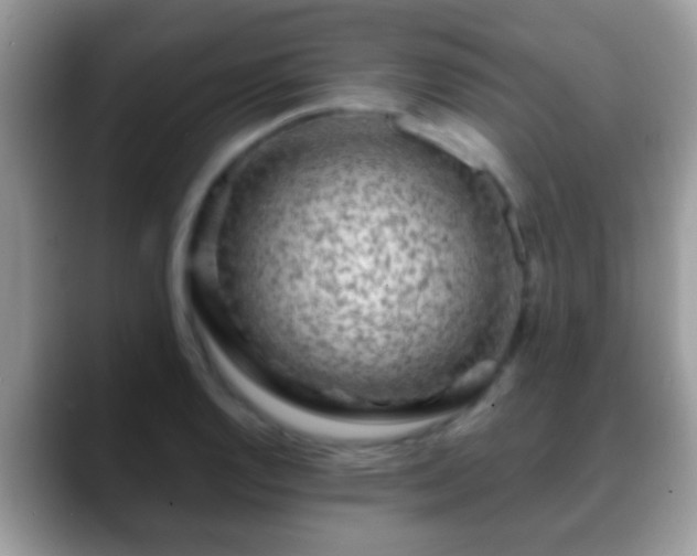 X0000088631128200706011140