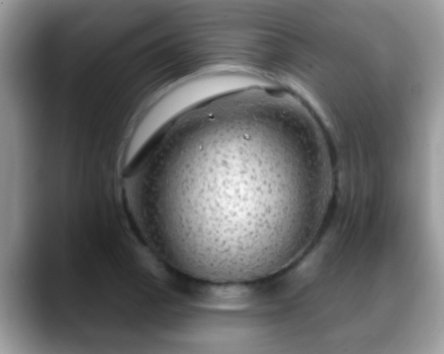 X0000088631129200706011140