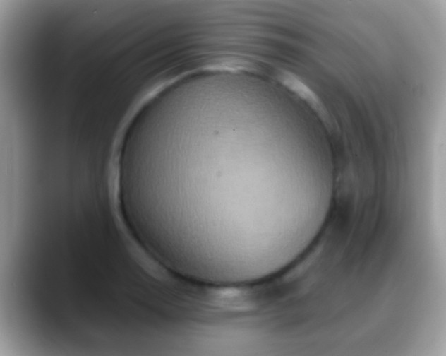 X0000088631130200706011140