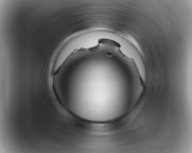 X0000088631132200706011140