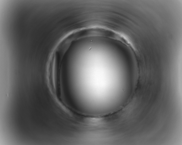 X0000088631134200706011140