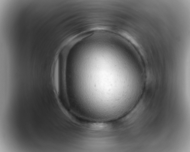 X0000088631137200706011140