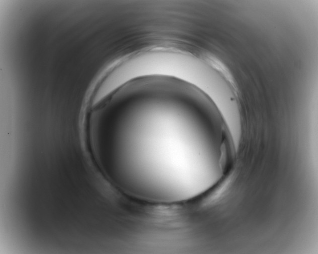 X0000088631138200706011140