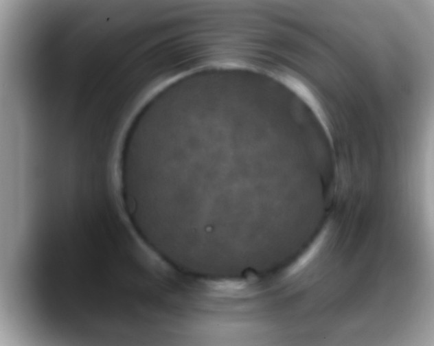 X0000088631141200706011140