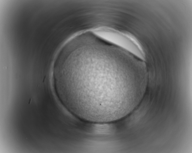 X0000088631142200706011140