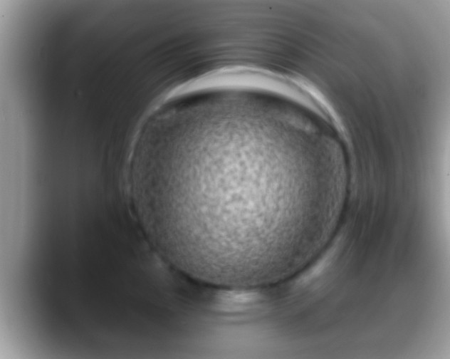 X0000088631145200706011140