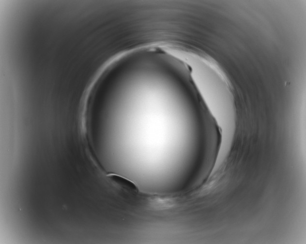 X0000088631148200706011140