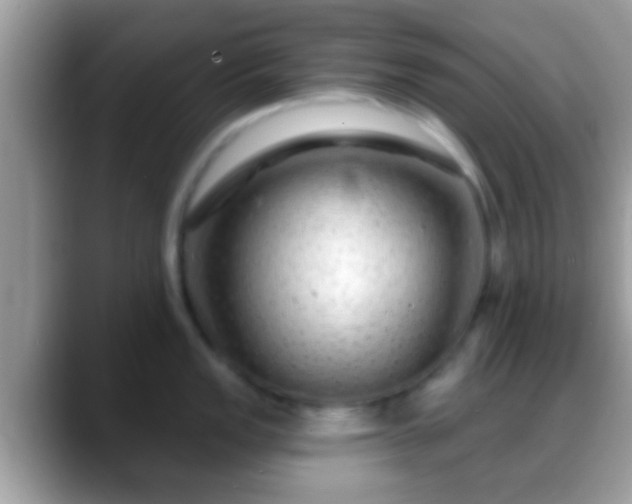 X0000088631149200706011140