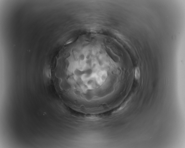 X0000088631155200706011139